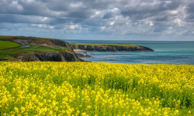 Irlanda coast to coast: il fascino delle spiagge atlantiche contro la gran calura