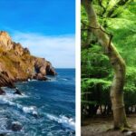 Fuga dall’afa. Con Vueling tre itinerari rigeneranti per l’estate