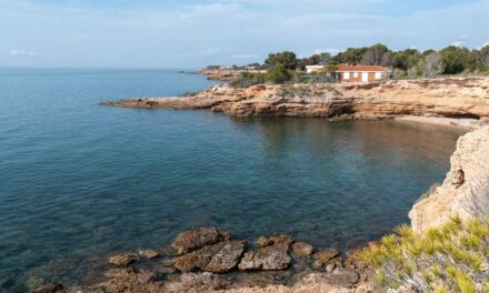 SPAGNA PET-FRIENDLY: L’ESTATE DA VIVERE INSIEME
