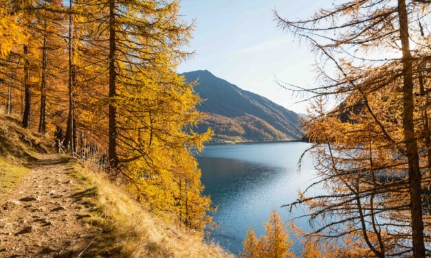 Val Senales, dove il primo sci incrocia la magia dei boschi dorati