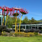 Seattle e l’arte di Dale Chihuly: la grande bellezza del vetro soffiato