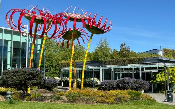 Seattle e l’arte di Dale Chihuly: la grande bellezza del vetro soffiato
