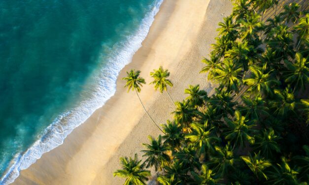 Lo Sri Lanka punta sull’Italia con un doppio appuntamento b2b e culturale a Milano e Roma