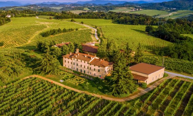 Tesori rurali in vetrina: il patrimonio agricolo delle dimore storiche apre le porte al pubblico