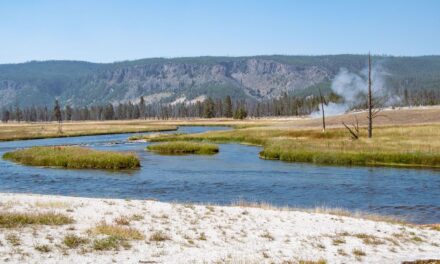 Yellowstone si prepara all’inverno: chiudono le strade principali e scatta la stagione dei mezzi da neve