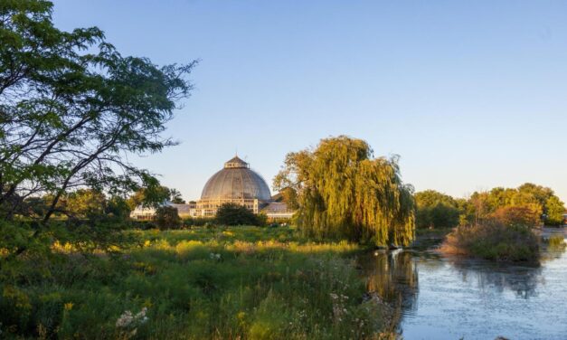 Detroit e i Grandi Laghi: tra cultura, natura e nuove mete del gusto